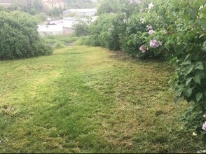 225 NW Harrison St in Pullman, WA - Building Photo - Building Photo