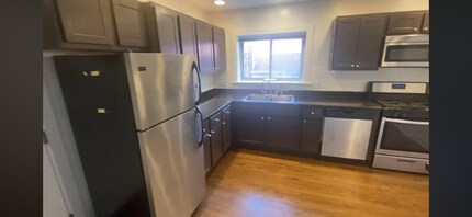 2528 W Fitch Ave, Unit 3 in Chicago, IL - Building Photo - Building Photo