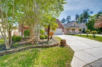 75 Tapestry Forest Pl in The Woodlands, TX - Building Photo - Building Photo