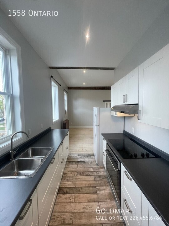Incredible Walkerville Character 1-Bedroom in Windsor, ON - Building Photo