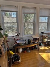 5 Winchester Rd in Newton, MA - Building Photo - Building Photo