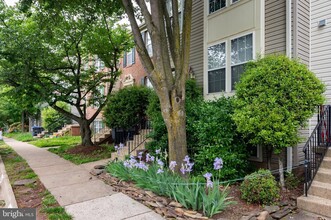 6348 Field Flower Trl, Unit LL Walkout in Centreville, VA - Foto de edificio - Building Photo