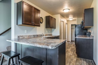 293 Tiger Way Ct in Harrisburg, SD - Foto de edificio - Building Photo