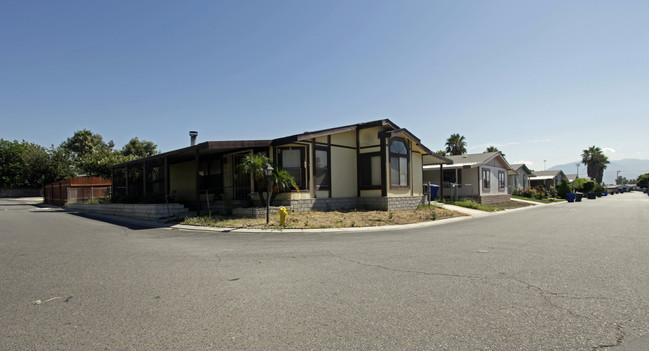 Oasis Palms Estates in San Bernardino, CA - Foto de edificio - Building Photo