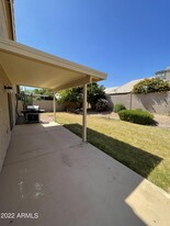 4520 E St John Rd in Phoenix, AZ - Building Photo - Building Photo