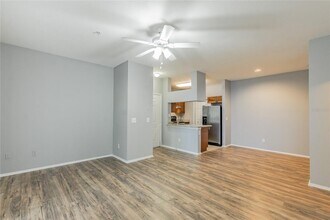 13015 Sanctuary Cove Dr in Temple Terrace, FL - Building Photo - Building Photo