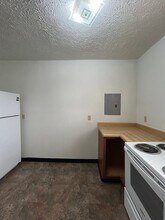 1937 S 12th St in Omaha, NE - Building Photo - Building Photo