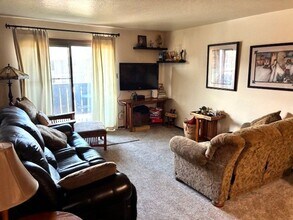 953 Straight Creek Dr in Dillon, CO - Building Photo - Building Photo