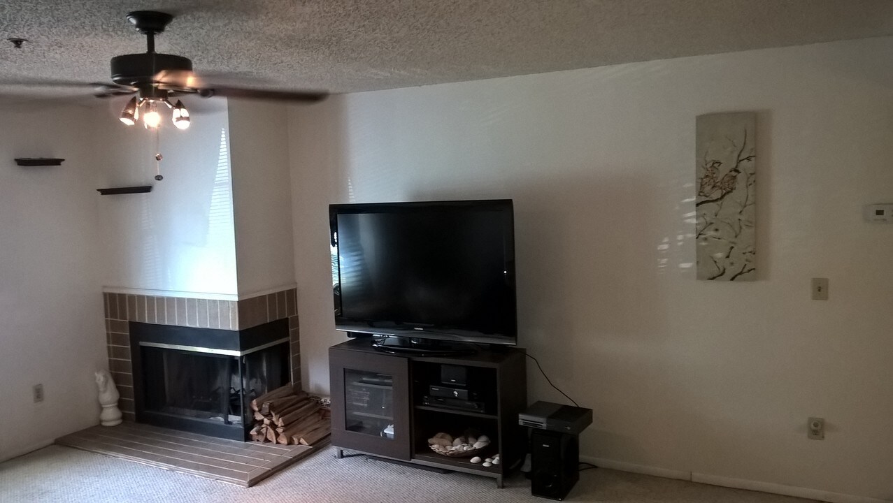 6001 Laketree Ln in Temple Terrace, FL - Building Photo