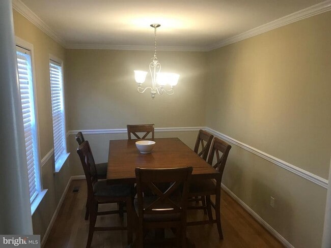 145 Lexington Ct in Stephens City, VA - Building Photo - Building Photo