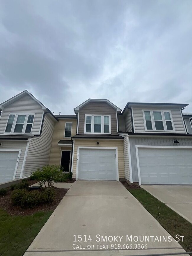 property at 1514 Smoky Mountains St
