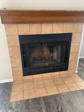 953 Tampico Ct in Colorado Springs, CO - Building Photo - Building Photo