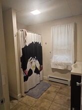 164 Geddes Terrace in Waterbury, CT - Building Photo - Building Photo