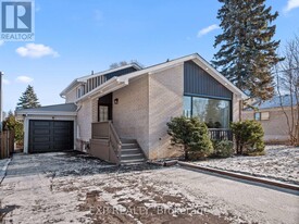 11 Webster Dr