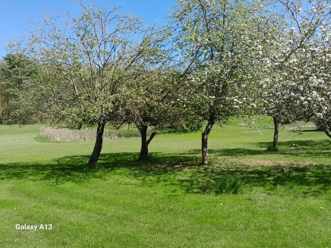 1331 Old Rte One, Unit A2 in Waldoboro, ME - Building Photo - Building Photo