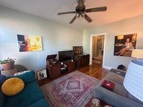 249 Chestnut Hill Ave in Boston, MA - Building Photo - Building Photo