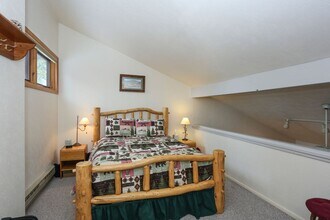 800 Columbine Rd in Breckenridge, CO - Building Photo - Building Photo