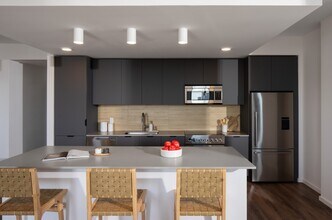 VIV in St. Petersburg, FL - Building Photo - Building Photo