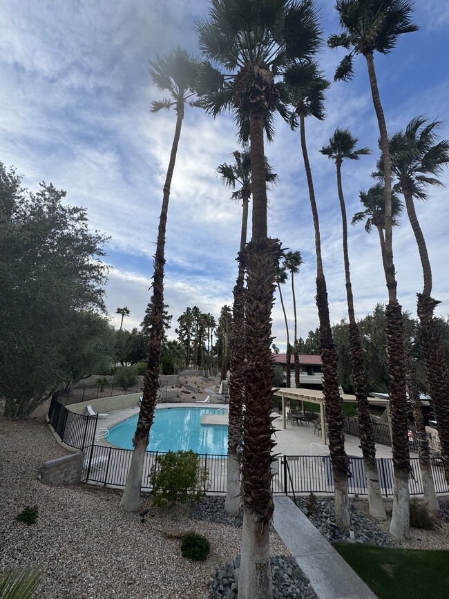 2825 N Los Felices Rd, Unit 210 in Palm Springs, CA - Building Photo - Building Photo