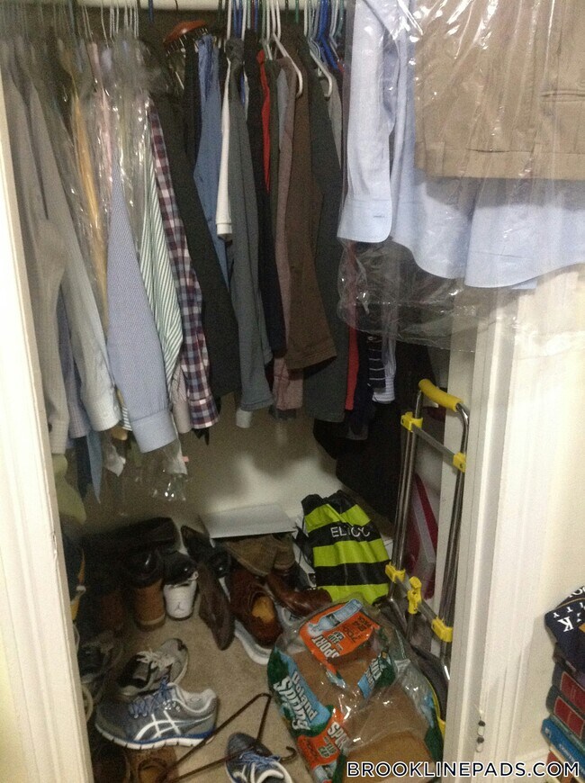 1223 Beacon St, Unit 209 in Brookline, MA - Building Photo - Building Photo