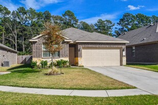 14118 Silver Falls Ct in Conroe, TX - Building Photo - Building Photo