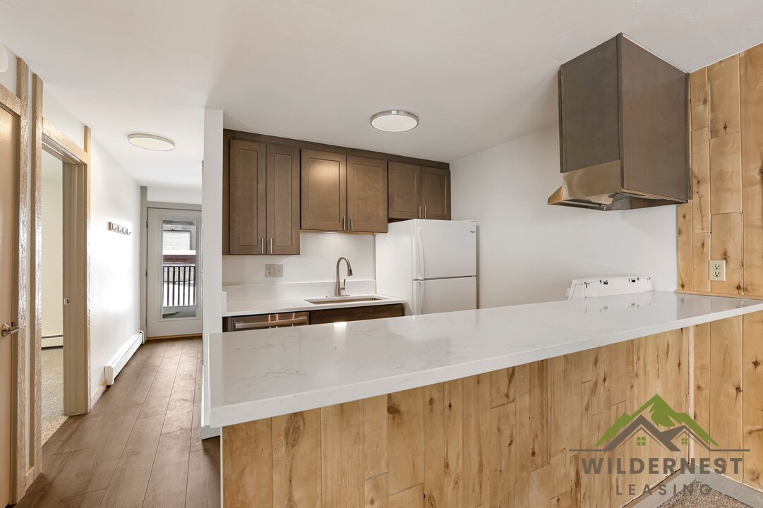 7213 Ryan Gulch Rd in Silverthorne, CO - Building Photo