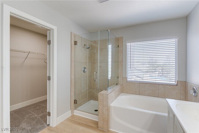 property at 171 Apache Tear Ct