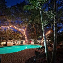 232 Timberlane Dr in Palm Harbor, FL - Building Photo - Building Photo