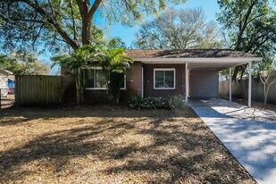 9311 Mary Ave in Tampa, FL - Building Photo