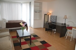 21 W Goethe St in Chicago, IL - Building Photo - Building Photo