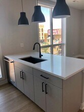 1046 W Cornelia Ave in Chicago, IL - Building Photo - Building Photo