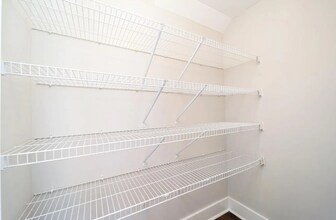 1135 Somerset Springs Dr in Spring Hill, TN - Foto de edificio - Building Photo