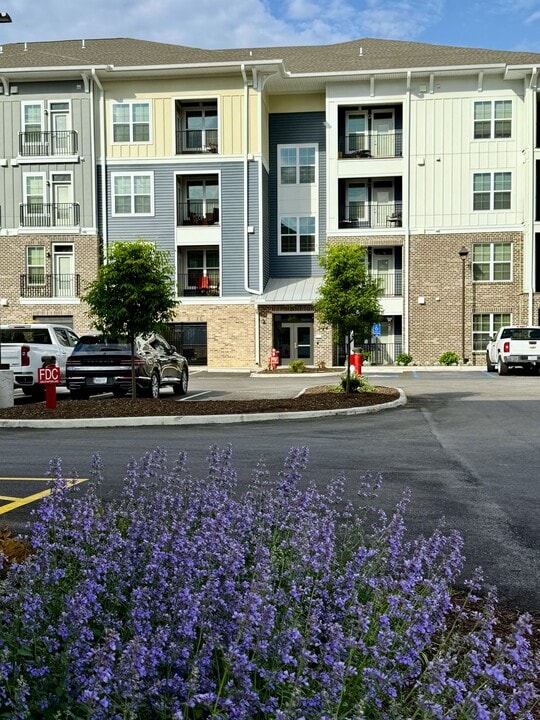 Avant At Huntington Pointe in Newport News, VA - Building Photo