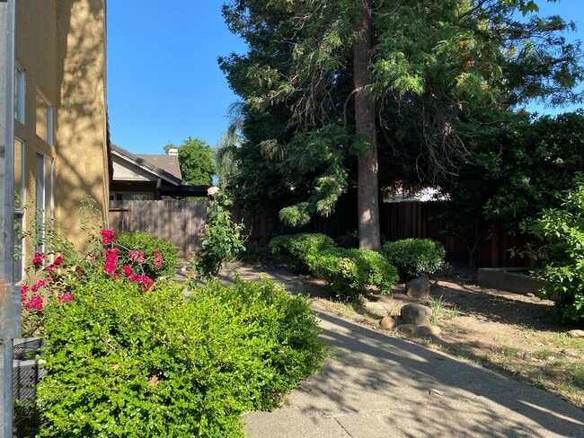 7104 Saltgrass Way in Elk Grove, CA - Building Photo - Building Photo