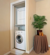 Woods On Lamonte in Houston, TX - Building Photo - Interior Photo
