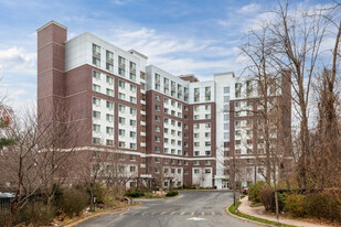 The Woodlands Apartments