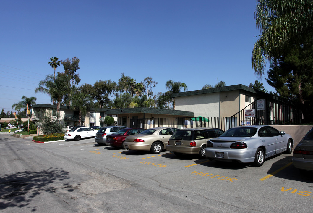 Amber Crest Apartments in Riverside, CA - Foto de edificio