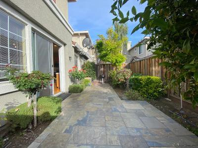 34775 Rumford Ter in Union City, CA - Building Photo - Building Photo