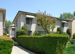 402 N Palm Dr in Beverly Hills, CA - Building Photo - Building Photo