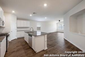 22206 Reading Green Blvd in San Antonio, TX - Building Photo - Building Photo