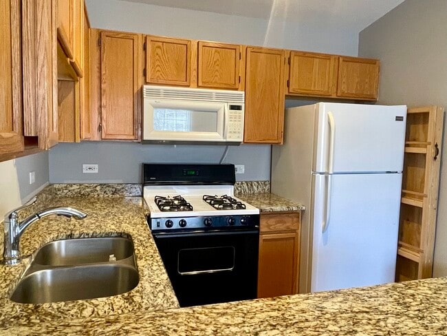 1179 N Village Dr in Round Lake Beach, IL - Building Photo - Building Photo