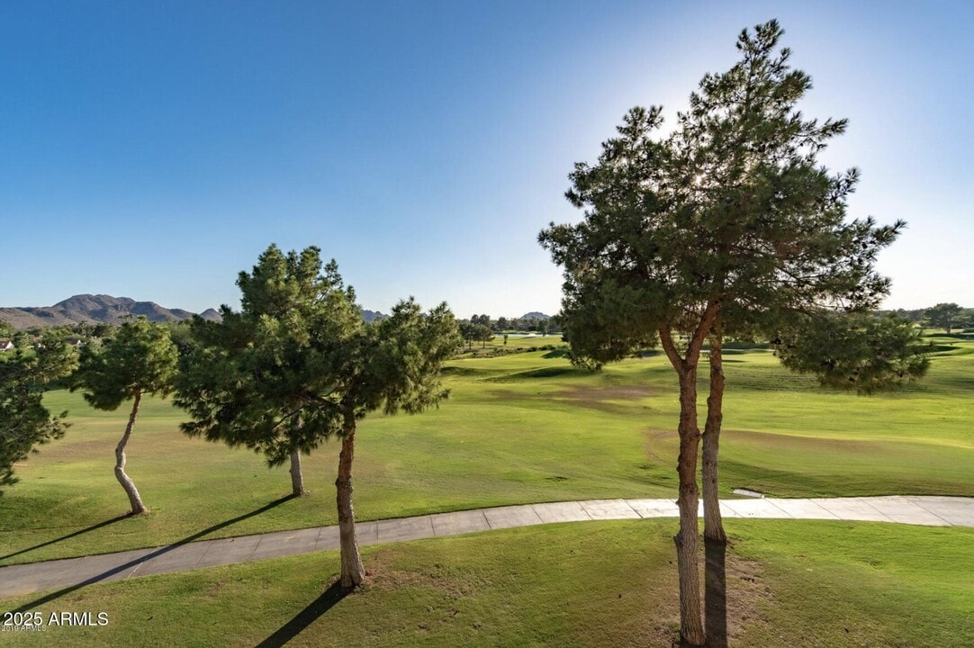 11640 N Tatum Blvd in Phoenix, AZ - Building Photo