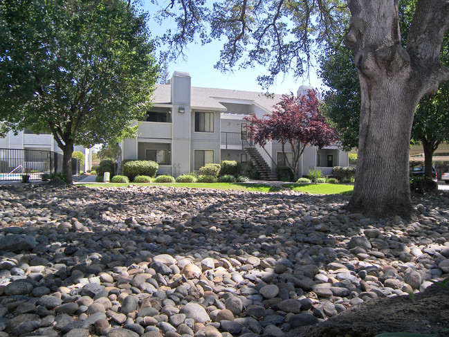 Springview Oaks Apartments in Rocklin, CA - Building Photo - Building Photo