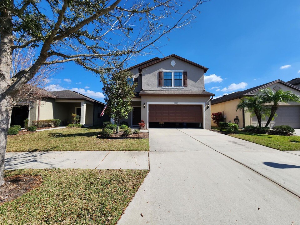 6429 Yellow Buckeye Dr in Riverview, FL - Building Photo