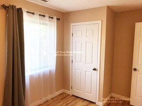 276 Chestnut Hill Ave in Boston, MA - Building Photo - Building Photo