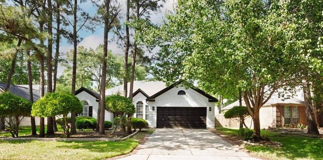 22 S Lace Arbor Dr in Spring, TX - Building Photo - Building Photo
