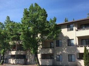 Jackson Greens in Seattle, WA - Building Photo - Interior Photo