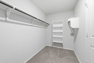 10019 Bur Sedge in San Antonio, TX - Building Photo - Building Photo