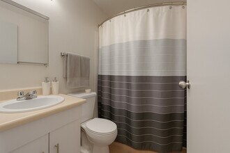 Cedar Gardens in Edmonton, AB - Building Photo - Building Photo