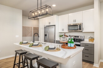 Seasons at Elgin in Elgin, IL - Foto de edificio - Interior Photo